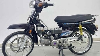 ban dream kiểng thái 2025