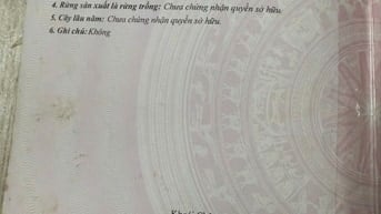 Bán đất ở sử dụng lâu dài tại thôn Yên Khê, xã Việt Hoà, Khoái Châu,