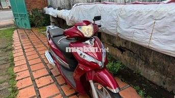 shark đẹp chất