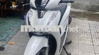 9 chú cần bán