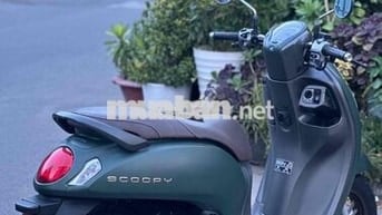 Scoopi hàng bỏ mẫu còn rất đẹp