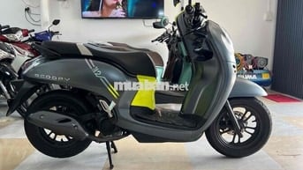 Scoopy Thai 2022