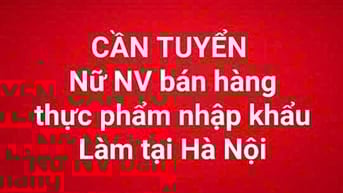 TUYỂN NỮ NHÂN VIÊN BÁN HÀNG THỰC PHẨM NHẬP KHẨU TẠI QUẬN BA ĐÌNH⁹