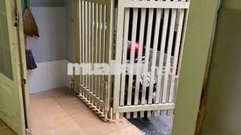 NHÀ CHO THUÊ NGUYÊN CĂN ĐƯỜNG 47 PHƯỜNG HIỆP BÌNH CHÁNH 72M SỬ DỤNG