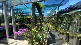 BÁN ĐẤT LỚN – VỊ TRÍ ĐẸP TRUNG TÂM TP. THỦ DẦU MỘT – ĐƯỜNG HỒ VĂN CỐNG