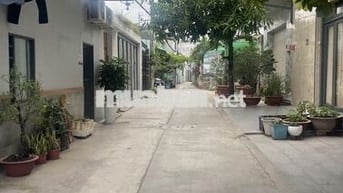 Nhà nguyên căn hẻm 1/ Bờ Bao Tân Thắng 4x17 2PN