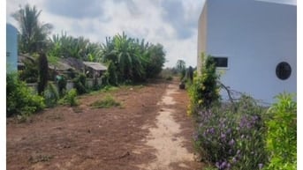 Công ty đấu giá hợp danh Sao Việt 