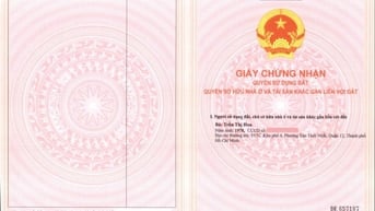 Cần bán đất nông nghiệp - Nhị Thành - Thủ Thừa - Long An