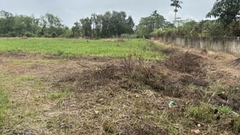 CHÍNH CHỦ GỬI BÁN LÔ ĐẤT LỚN HIẾM CÓ TẠI LONG PHƯỚC - THỦ ĐỨC (QUẬN 