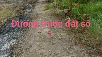 Chính chủ gửi, Bán gấp đất vườn Thạnh Hoà, Bến Lức, Long An