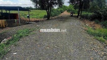1000m Đất Vườn Đường 10m View Kênh Chỉ 650tr