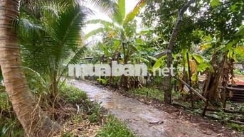 NỀN 2 MẶT TIỀN QUỐC LỘ 61C BA LÁNG, CÁI RĂNG