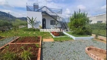 BÁN LÔ ĐẤT CÓ SẴN NHÀ VƯỜN VIEW ĐỒI THÔNG VEN ĐÀ LẠT GIÁ 500TR