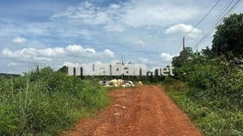 Cần tiền bán gấp 250m thổ cư 100m,bán đúng giá 160tr,giá bán thật lòng