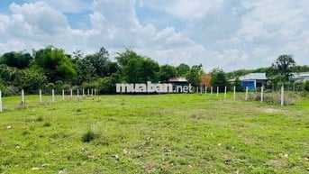 Thái Mỹ 224m2 (5x45m) mặt tiền đường Cây Trôm Mỹ Khánh chỉ 1,25 tỷ