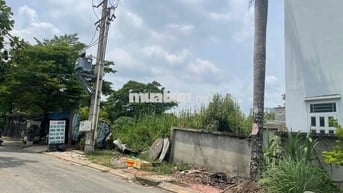 cần bán lô đất vị trí đẹp -Nhơn Đức, huyện Nhà Bè- dt: 165m2 - giá 4,7