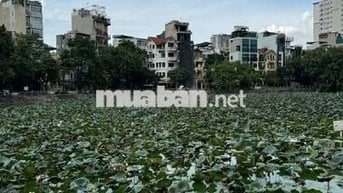 BÁN NHÀ 5NGỦ Ô TÔ -PHỐ GIẢI PHÓNG THANH XUÂN