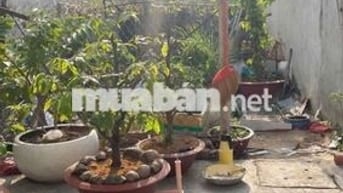 🔥🔥🔥 ĐẤT SỔ HỒNG RIÊNG 63m2 - XÂY DỰNG TỰ DO 🔥🔥🔥