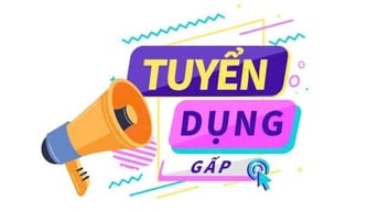 Tuyển Gấp Nhân Viên Gói Quà , Soạn Hàng , Phân Loại Hàng 