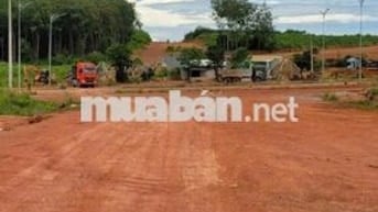 ĐẤT MẶT TIỀN ĐƯỜNG XUYÊN TÂM NGAY TRỤC ĐỒNG PHÚ – BÌNH DƯƠNG CHỈ 550TR