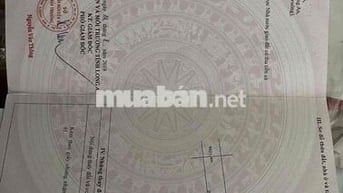 208 đường số 11 kdc Nam long . có hoa Hồng cho người giới thiệu