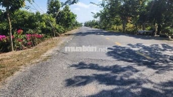 ĐẤT MẶT TIỀN ĐƯỜNG 910 XÃ MỸ THUẬN TỈNH VĨNH LONG