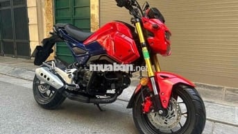 Honda MSX 125 biển tp- Xe lướt đẹp như mới moto