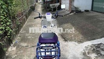 cần bán xe cuũi kiểng