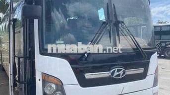 xe khách 47 chỗ Hyundai