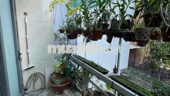 BÁN NHÀ ĐƯỜNG TRẦN VĂN ƠN, TÂN PHÚ .1 TRỆT 1 LẦU