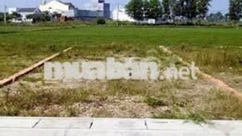 🏡 BÁN GẤP NỀN ĐẤT TÂN TÚC - 60m² FULL THỔ