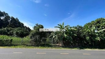 MẶT TIỀN TỈNH LỘ 2 - DIÊN THỌ - SP TIỀM NĂNG & ZÁ CỰC TỐT