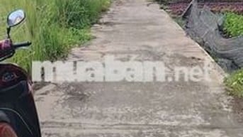 CHÍNH CHỦ BÁN GẤP LÔ ĐẤT NỀN FULL THỔ CƯ SÁT MT TỈNH LÔ 835 CẦN GIUỘC