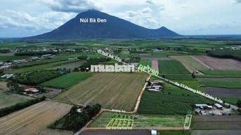 Đất Đẹp - Vị Trí Tiềm Năng - Xây Nhà Ở Hoặc Đầu Tư