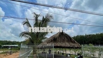 BÁN GẤP 250m² ĐẤT NỀN MẶT TIỀN LỚN LIỀN KỀ KCN DẦU TIẾNG