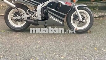 Nsr 50cc Cọp