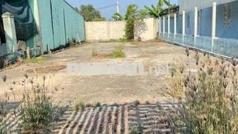 💼 BÁN GẤP LÔ ĐẤT 226,3M² – MẶT TIỀN ĐƯỜNG BASA, PHƯỚC HIỆP – CHÍNH CHỦ