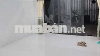 Cho thuê nhà mới hẻm oto. Chỉ 5,5tr ngay Hiệp Bình