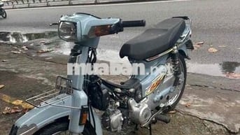 citi dọn full new