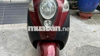 sym elite 50cc bstp ko cần bằng lái