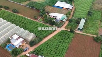 Đất gần sân bay Liên Khương chỉ từ 670 triệu sổ hồng riêng