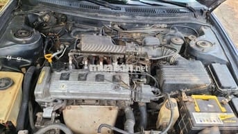 59 1994 - 52297 km