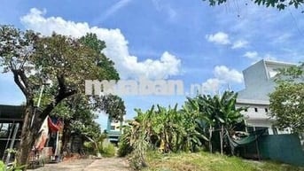 Đất 2 mặt tiền đường Hoà Phú 7 Hoà Minh Liên Chiểu