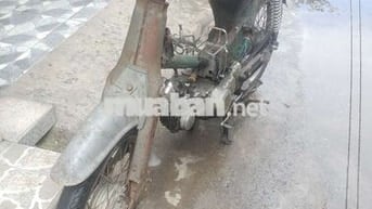 Honda Cub 50cc