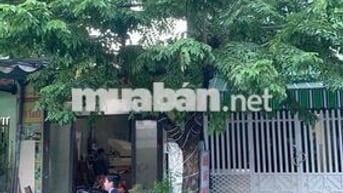 Đất mặt tiền đường 7m5 Tống Duy Tân, ngay chợ Hoà Mỹ & Bến xe Đà Nẵng