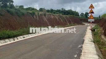 Siêu phẩm đất rộng view đồi thông gần thác DamB'ri - giá cực tốt