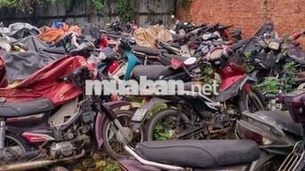 Mình chuyên mua xe ga, xe số cũ, hỏng hóc cũng mua