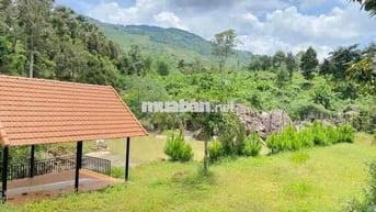 View Suối Đất Nông Nghiệp Cực Đẹp - Thích Hợp Làm Farm😍