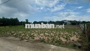 Bán đất thổ cư ở huyện Đất Đỏ sát Hồ Tràm
