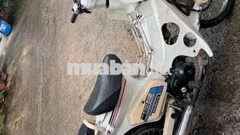 honda cúp 50cc